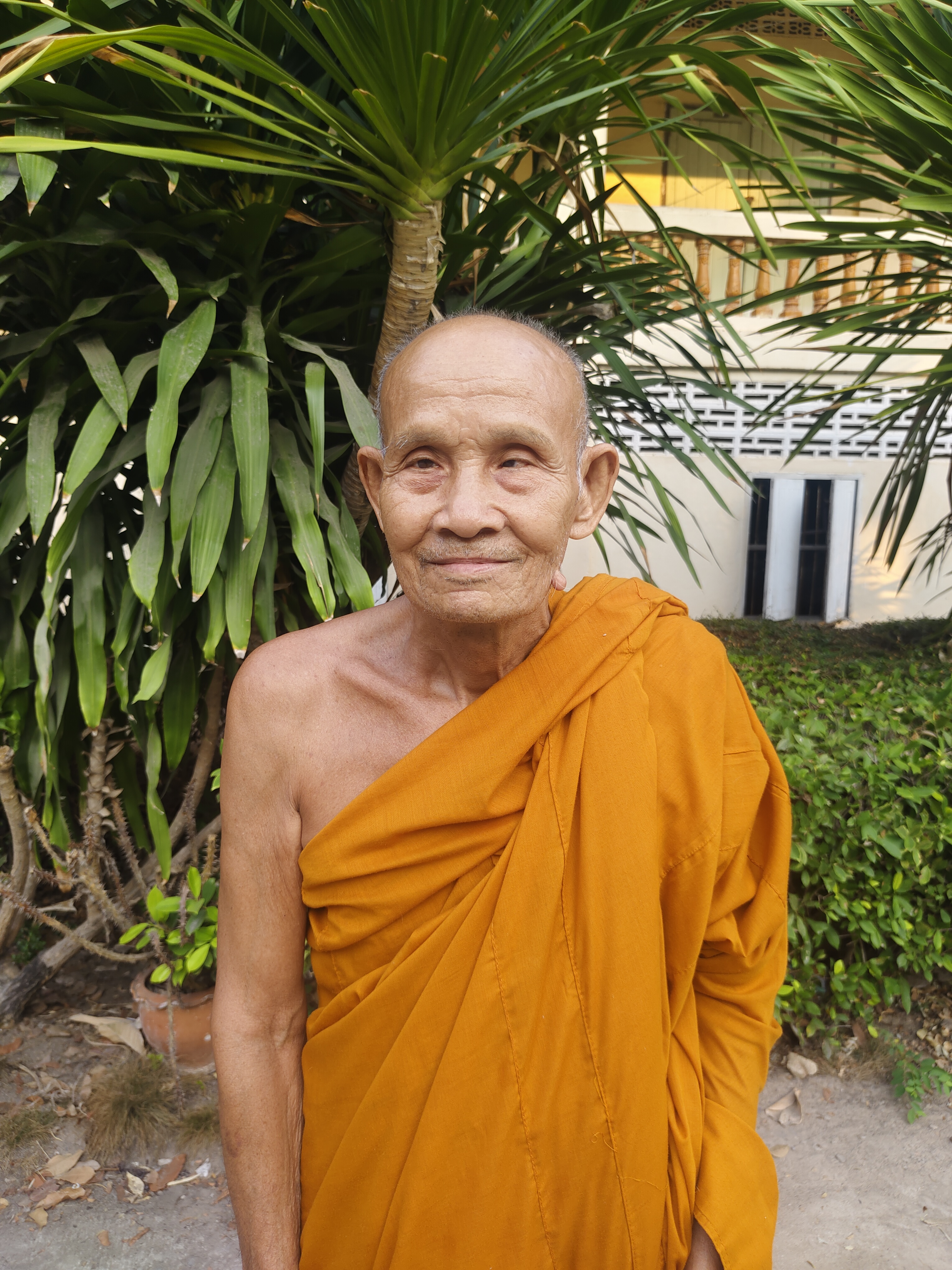 บุดดี
